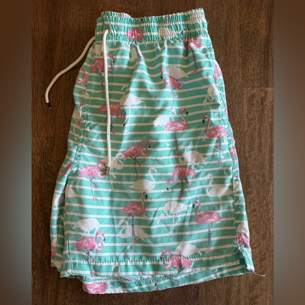 Ingear Mint Green and Pink Flamingo Swim Shorts